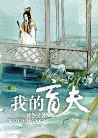 我的盲夫