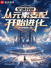 全城穿越：从元素支配开始进化