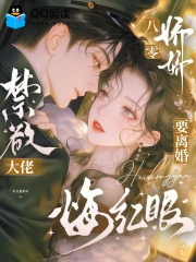  八零娇娇要离婚，禁欲大佬悔红眼