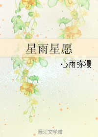 星雨星愿